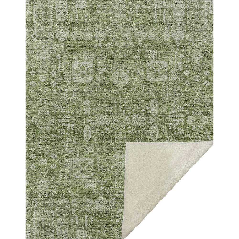 Premium Machine Washable ASB637 Aloe 50" x 70" Sherpa Throw Blanket