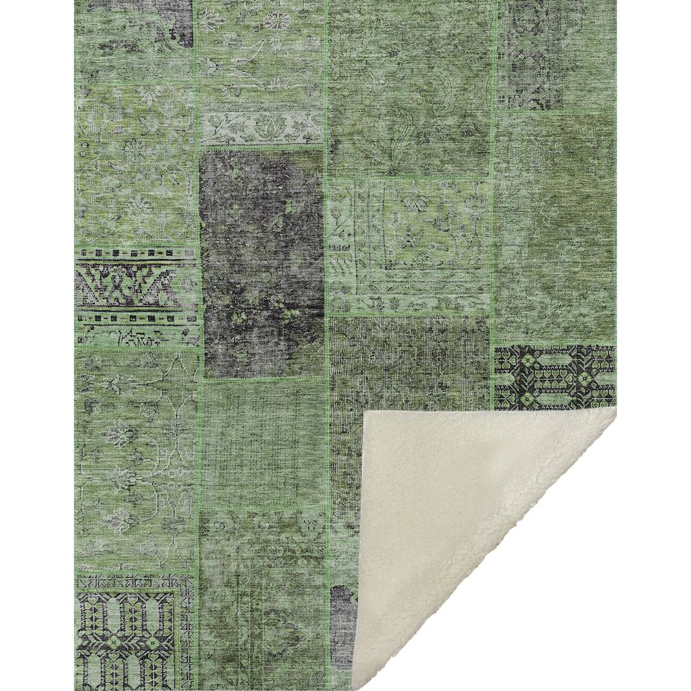 Premium Machine Washable ASB669 Green 50" x 70" Sherpa Throw Blanket