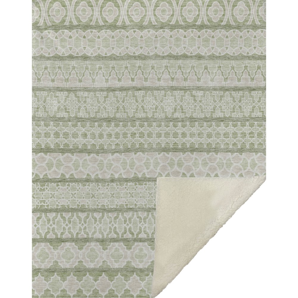 Premium Machine Washable ASB726 Aloe 50" x 70" Sherpa Throw Blanket
