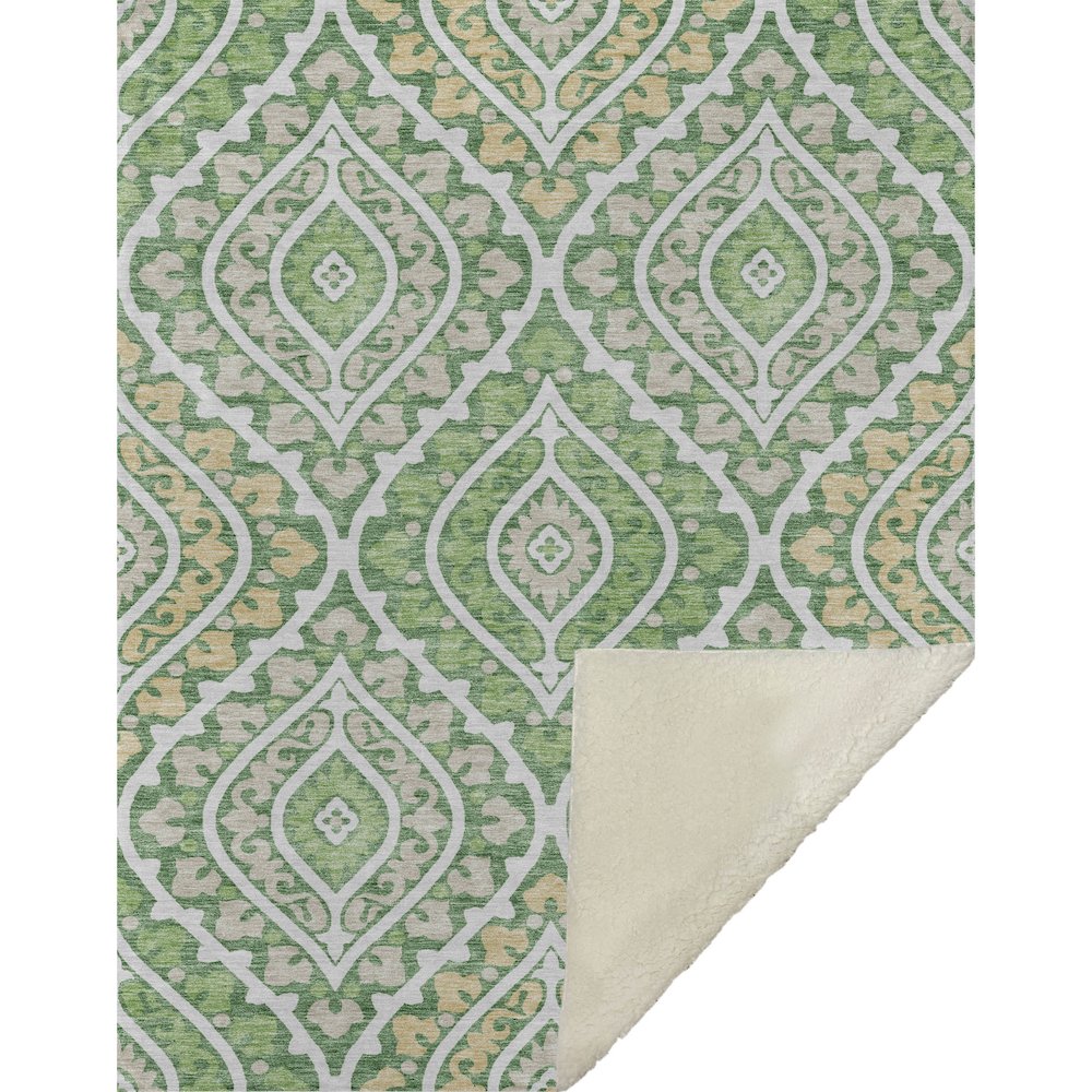 Premium Machine Washable ASB761 Green 50" x 70" Sherpa Throw Blanket