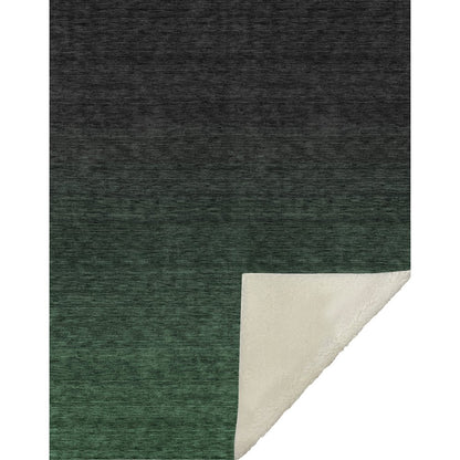 Premium Machine Washable ASB844 Emerald 50" x 70" Sherpa Throw Blanket
