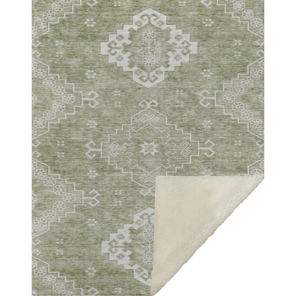 Premium Machine Washable ASB847 Aloe 50" x 70" Sherpa Throw Blanket