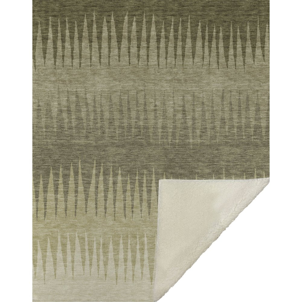 Premium Machine Washable ASB886 Green 50" x 70" Sherpa Throw Blanket