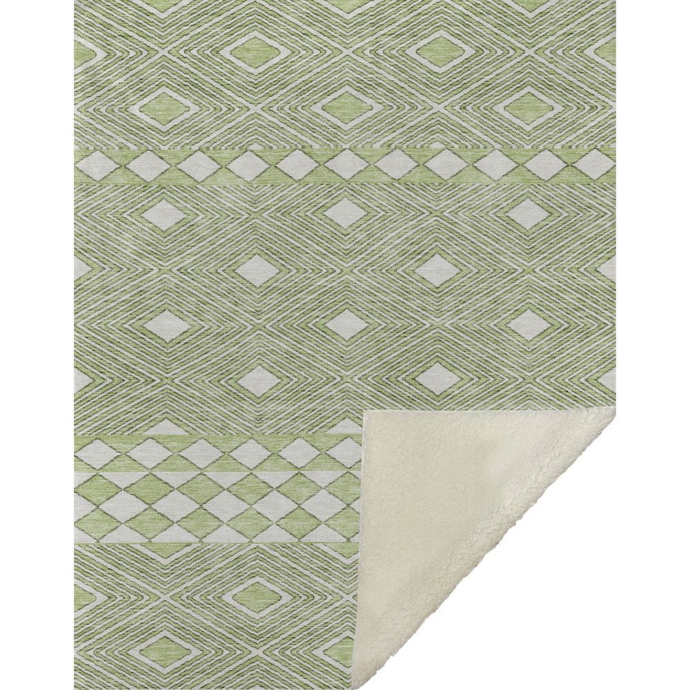 Premium Machine Washable ASB898 Aloe 50" x 70" Sherpa Throw Blanket