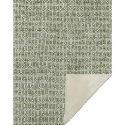 Premium Machine Washable ASB926 Green 50" x 70" Sherpa Throw Blanket