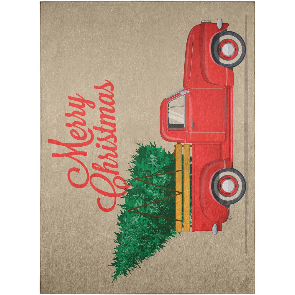 Indoor/Outdoor Cozy Winter ACW34 Red Washable 30" x 46" Rug
