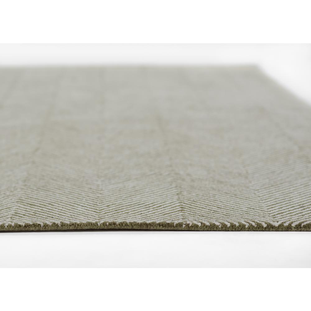 Contemporary Rectangle Area Rug, Green, 3'6" X 5'6"