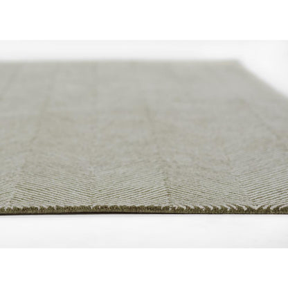 Contemporary Rectangle Area Rug, Green, 3'6" X 5'6"