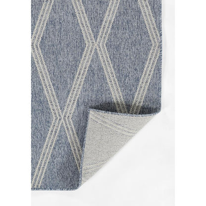 Transitional Rectangle Area Rug, Blue, 5'3" X 7'