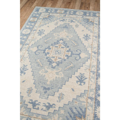 Traditional Rectangle Area Rug, Blue, 7'9" X 9'10"