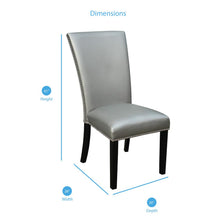 Camila Silver Dining Chair - set of 2
