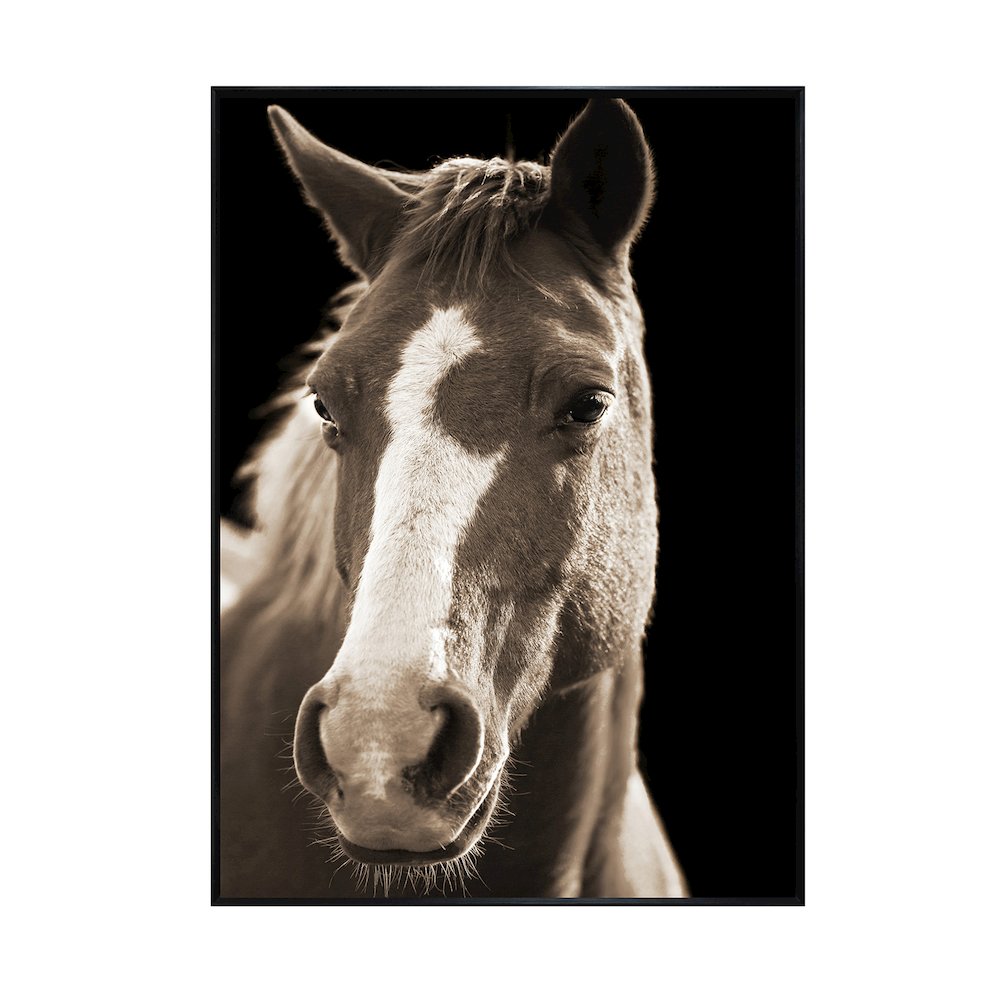 Fayette 2 Wall Decor