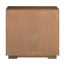 Easton Storage 2 Door Accent Cabinet Modern Design - Urban Bronze Walnut Wood