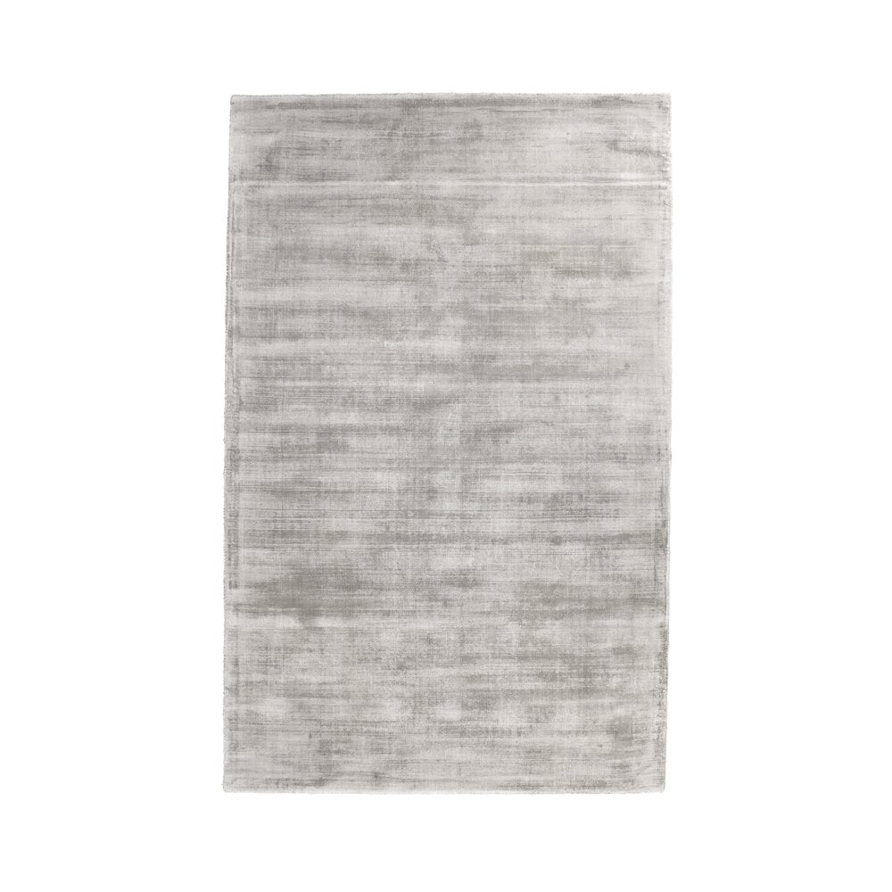 Cameron Hand-woven Distressed Viscose Area Rug  Dove Gray 5X8