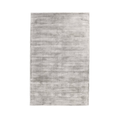 Cameron Hand-woven Distressed Viscose Area Rug  Dove Gray 5X8
