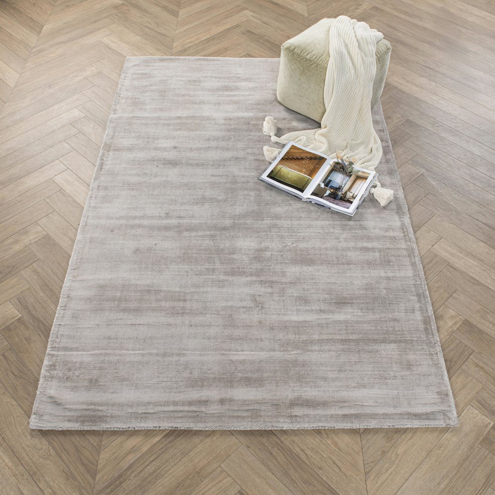 Cameron Hand-woven Distressed Viscose Area Rug  Dove Gray 5X8