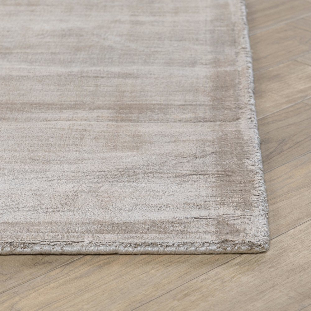 Cameron Hand-woven Distressed Viscose Area Rug  Dove Gray 5X8