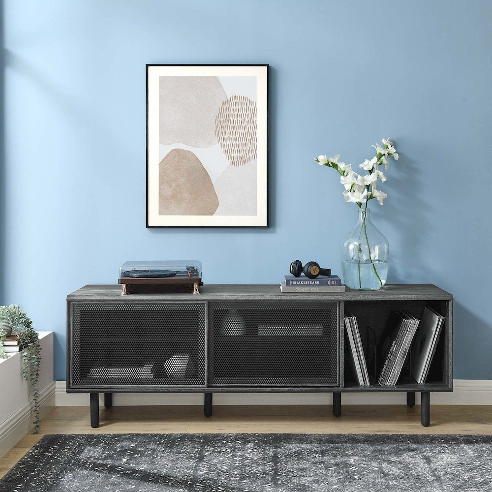 Kurtis 67" TV and Vinyl Record Stand