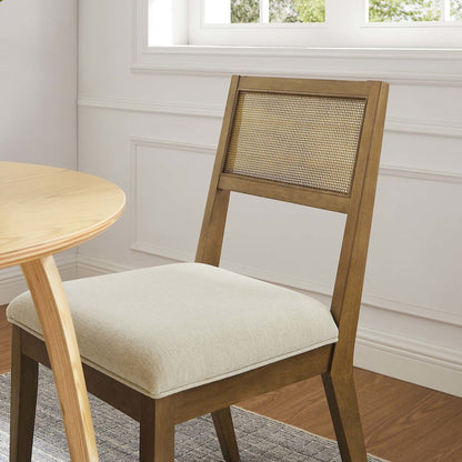 Nimba Faux Rattan Fabric Dining Chairs Set of 2