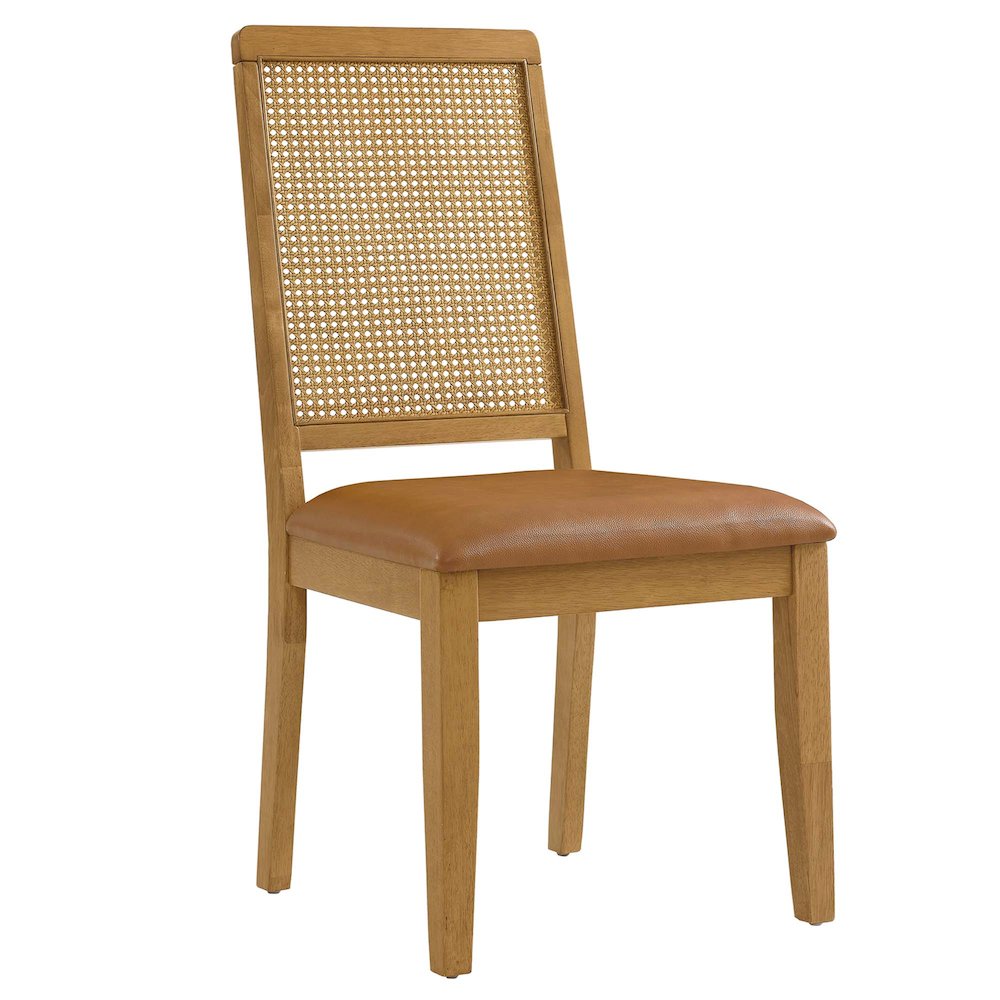 Arlo Vegan Leather Upholstered Faux Rattan and Wood Dining Side Chairs Set of 2