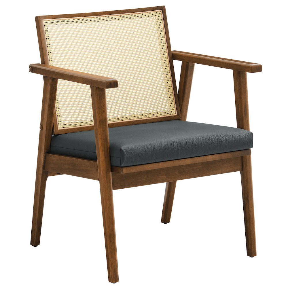 Thera Vegan Leather and Cane Accent Armchairs Set of 2