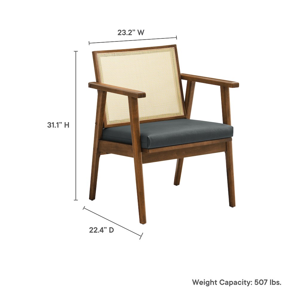 Thera Vegan Leather and Cane Accent Armchairs Set of 2