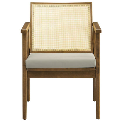 Thera Vegan Leather and Cane Accent Armchairs Set of 2