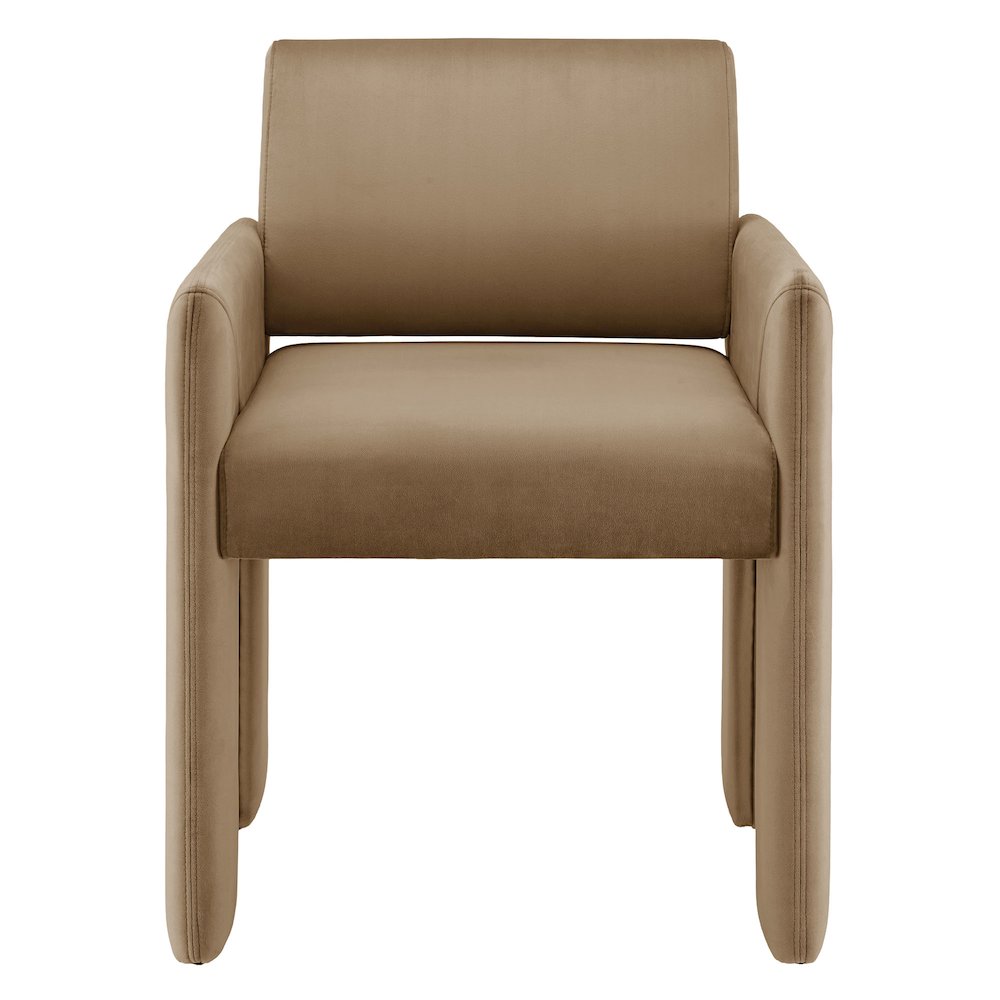 Daven Stain-Resistant Performance Velvet Dining Armchair
