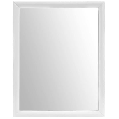 Tracy Mirror