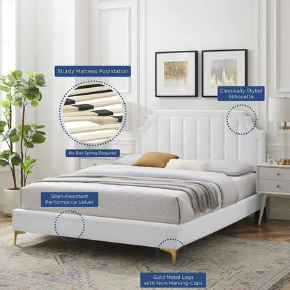 Sienna Performance Velvet Queen Platform Bed