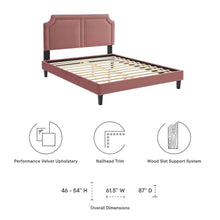 Novi Performance Velvet King Bed