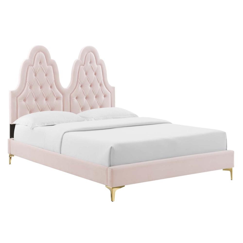 Alexandria Tufted Performance Velvet Twin Platform Bed - Pink MOD-6931-PNK