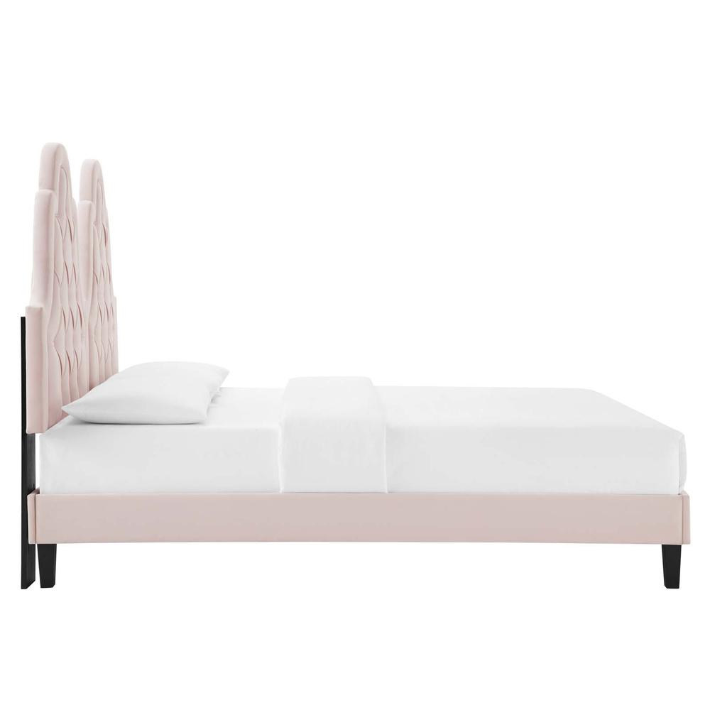 Alexandria Tufted Performance Velvet Twin Platform Bed - Pink MOD-6933-PNK