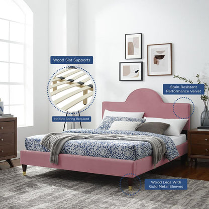 Aurora Performance Velvet King Bed - Dusty Rose MOD-7032-DUS