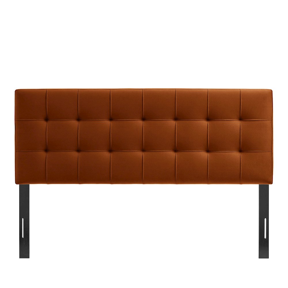 Lily Stain-Resistant Performance Velvet Queen Size Headboard