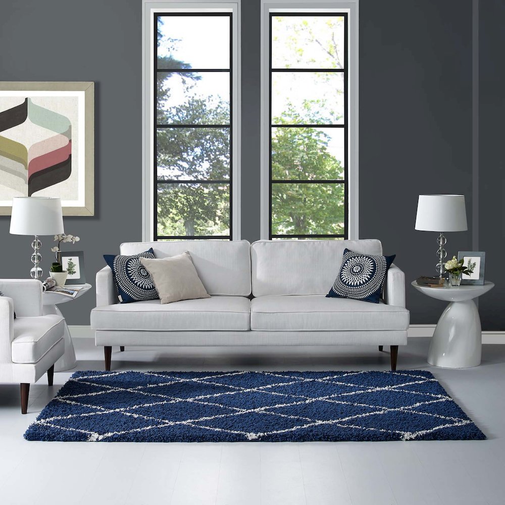 Toryn Diamond Lattice 5x8 Shag Area Rug