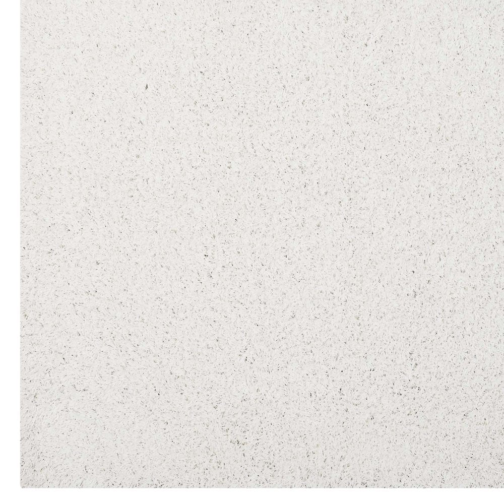 Enyssa Solid 5x8 Shag Area Rug
