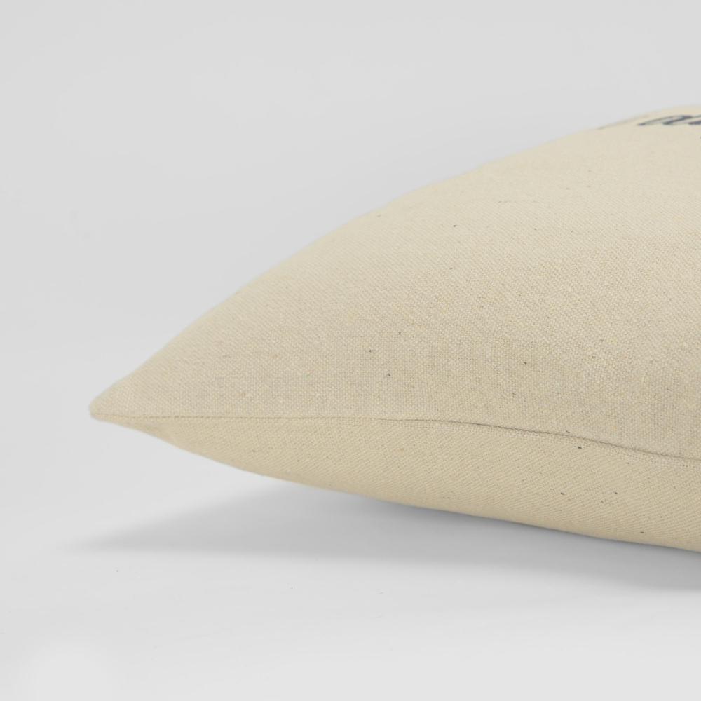 20" x 20" Down Filled Pillow