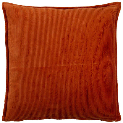 20" x 20" indoor pillow