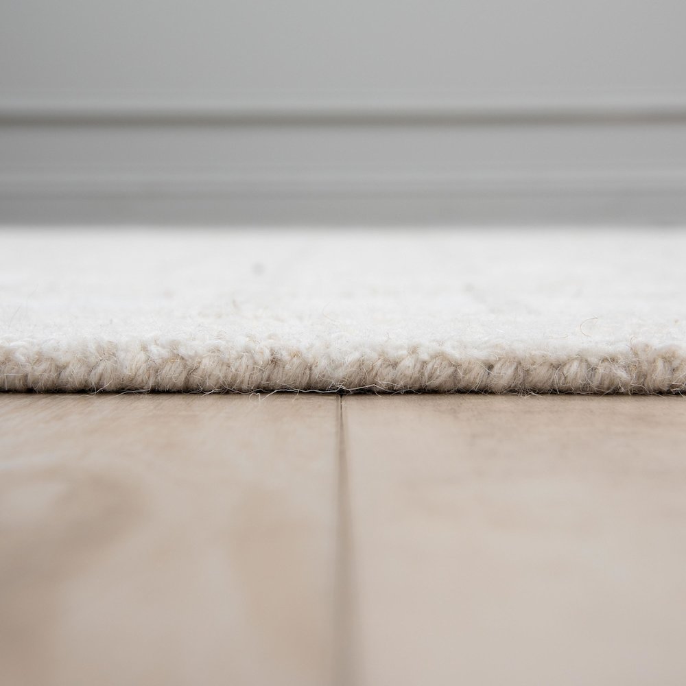 8'9" x 11'9" Cut & Loop Pile Hand Tufted Rug