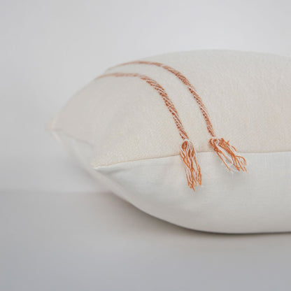 Transitional 20" x 20" Poly Filled Pillow