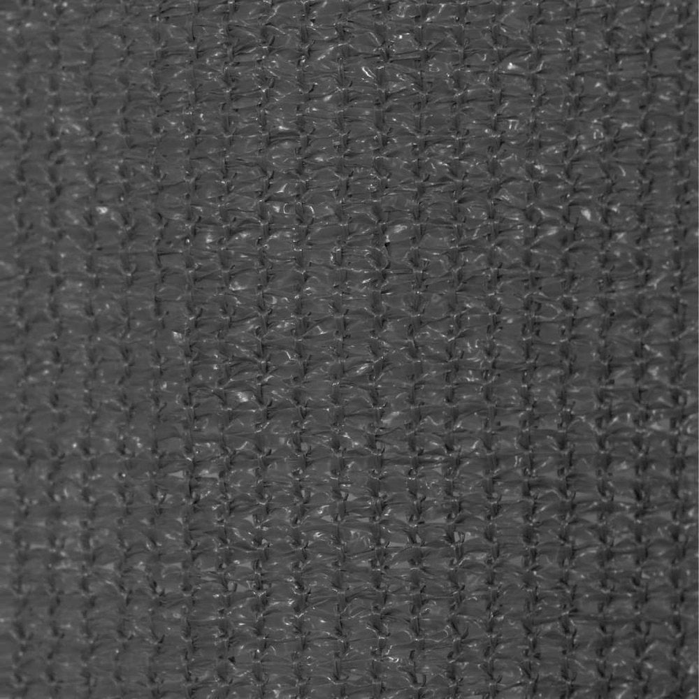 vidaXL Outdoor Roller Blind 31.5"x90.6" Anthracite