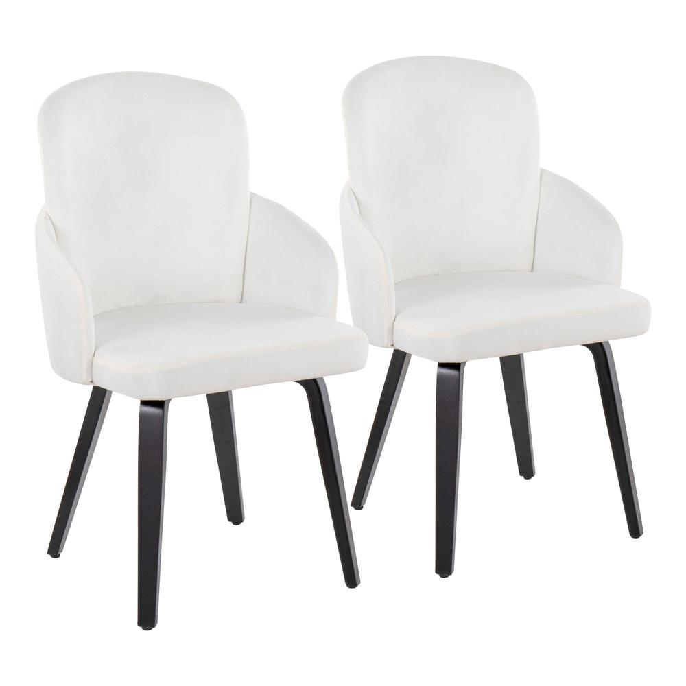 Black Wood, Cream Velvet, Gold Metal Dahlia Dining Chair - Set of 2