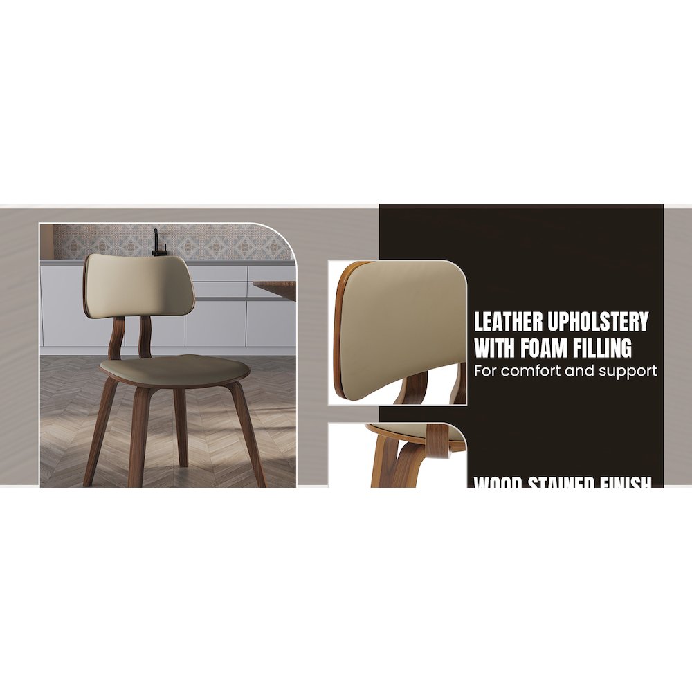 Modern Wooden Dining Chair