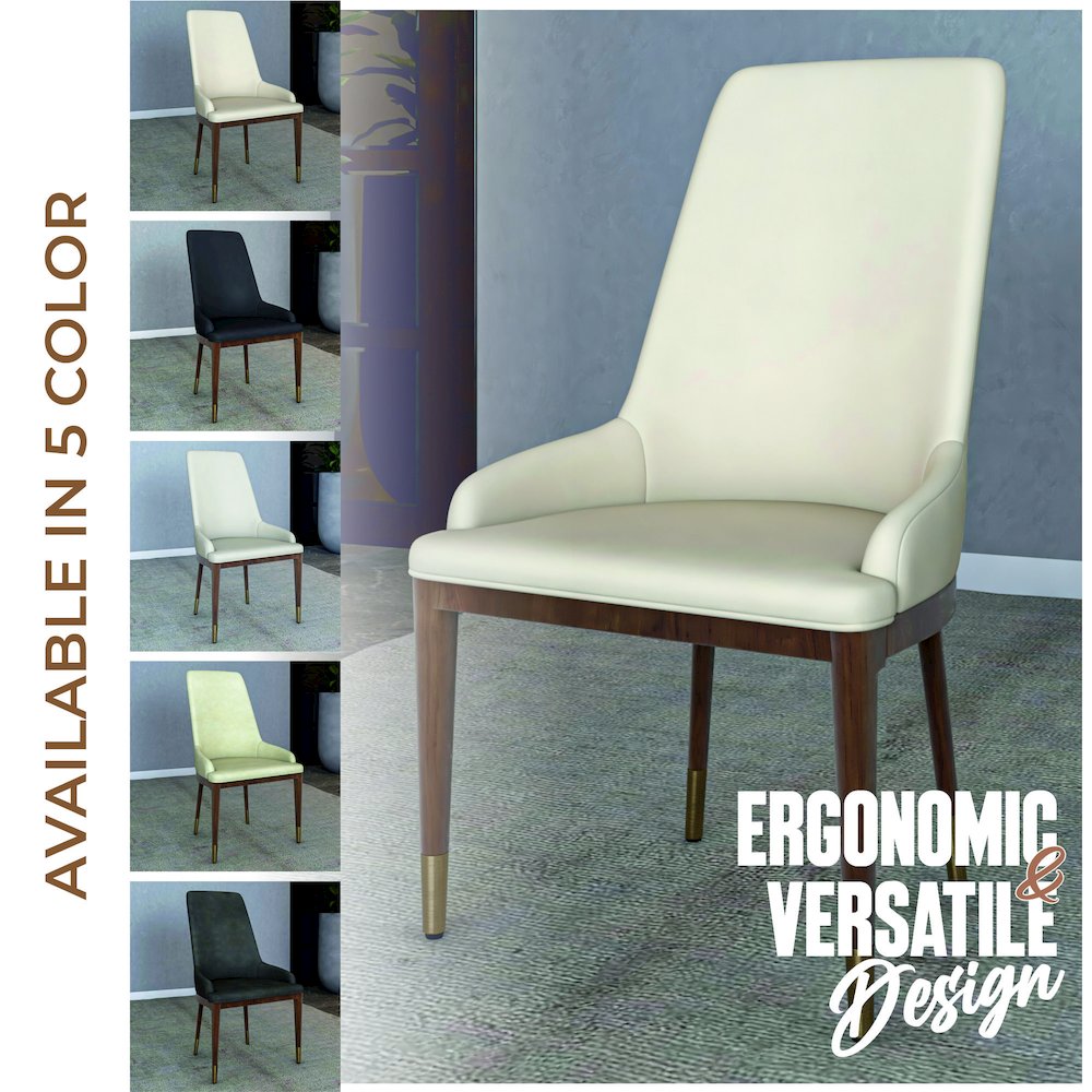 Viva Collection Modern Wooden Dining Chair in Light Toupe