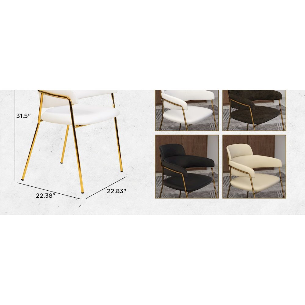 Axis Collection Modern Gold Dining Chair in White