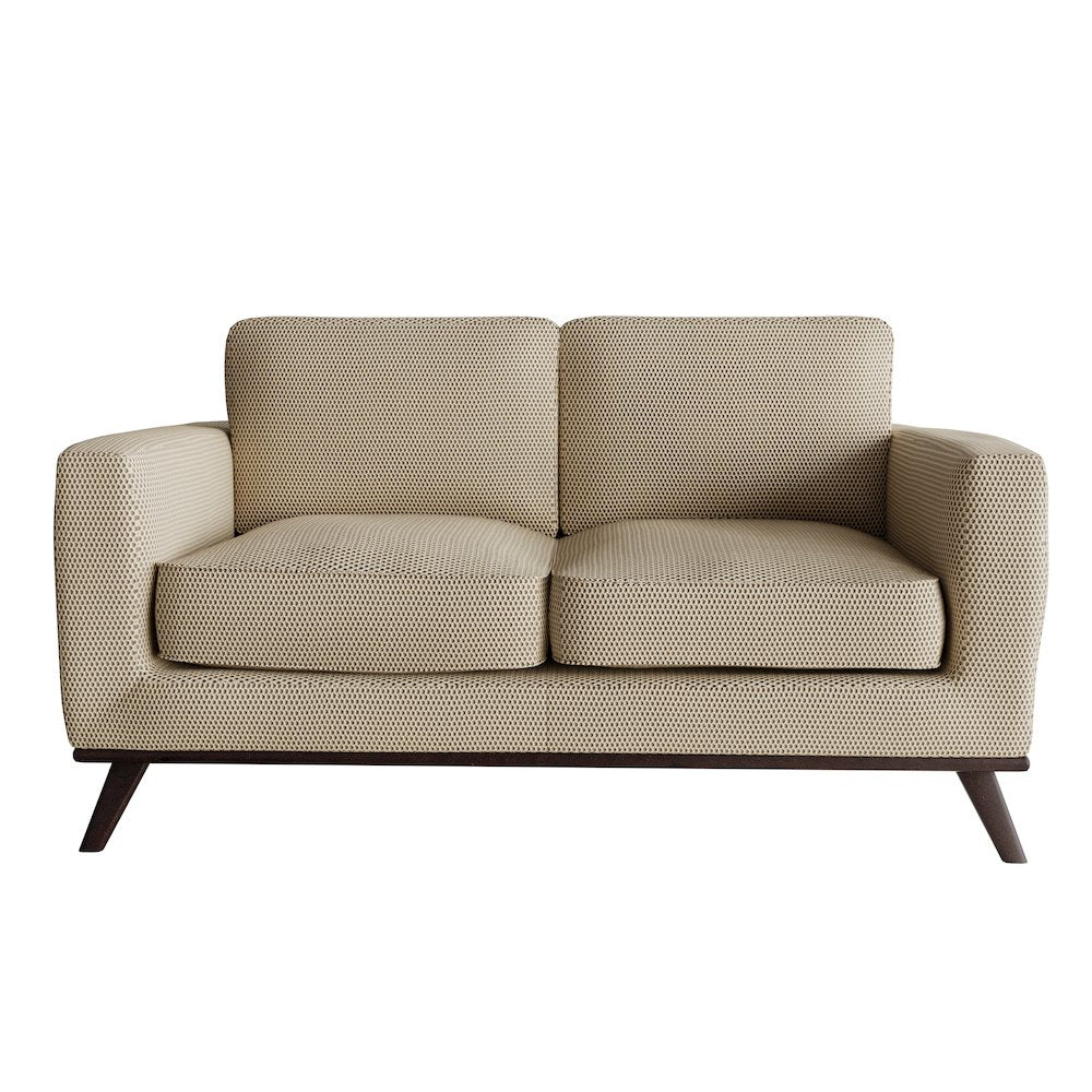 Chester Modern Faux Leather Loveseat in Beige Mesh