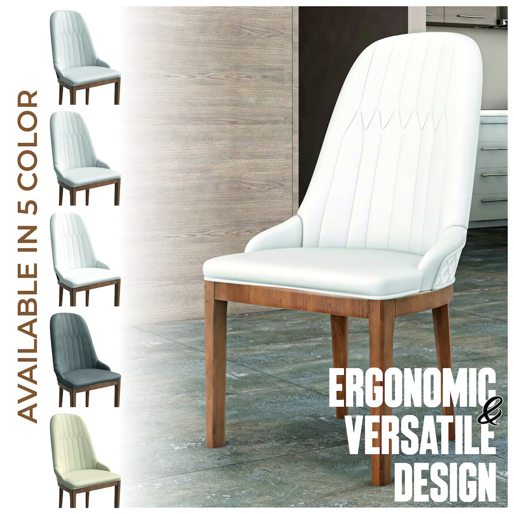 Verisma Collection Modern Wooden Dining Chair in White Set of 2