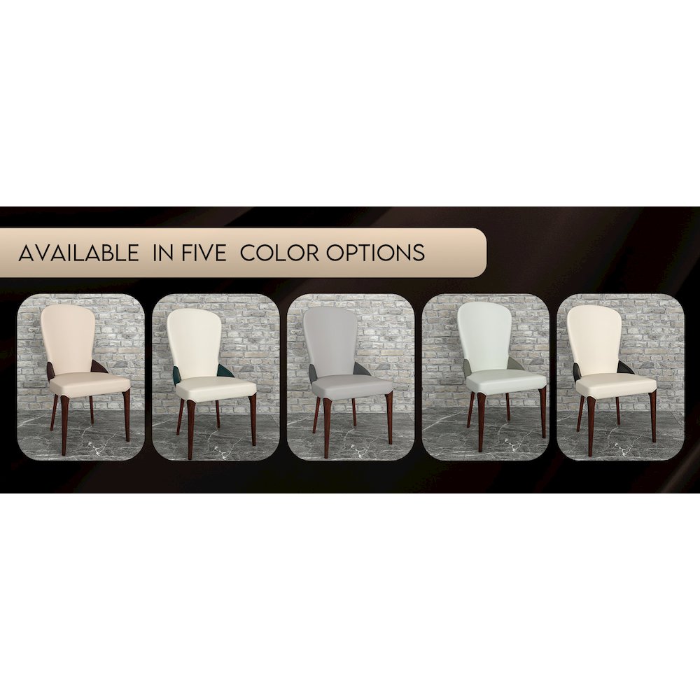 Havana Collection Modern Wooden Dining Chair in Toupe
