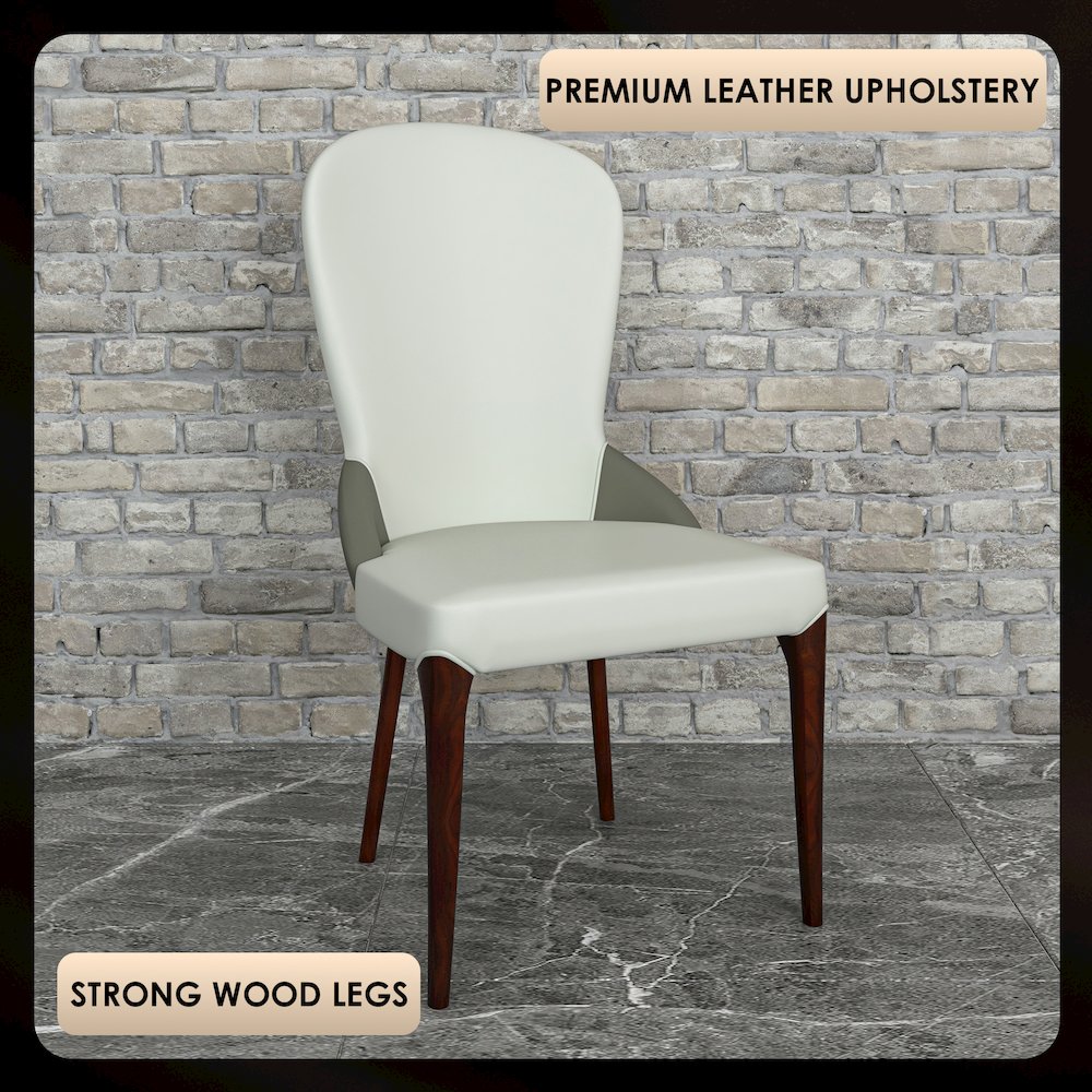 Havana Collection Modern Wooden Dining Chair in Toupe